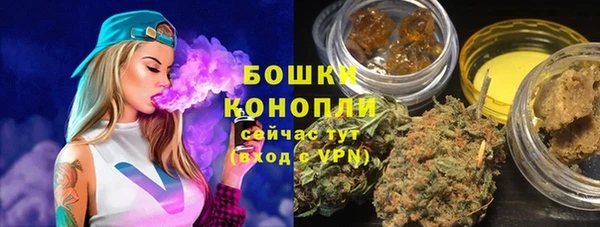 твердый Арсеньев