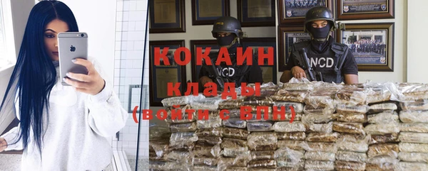 твердый Арсеньев