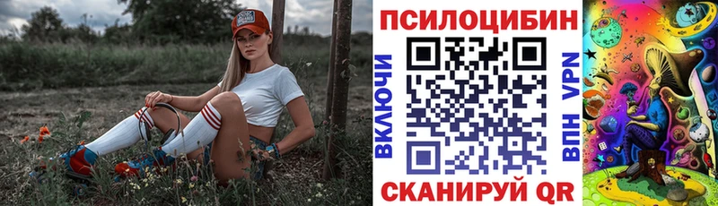 Купить закладки  Верея  Галлюциногенные грибы мицелий 